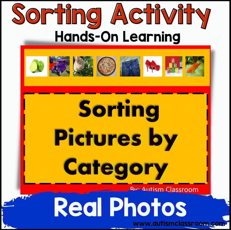 Sorting Pictures by Category (PreK, K, Autism & SPED)