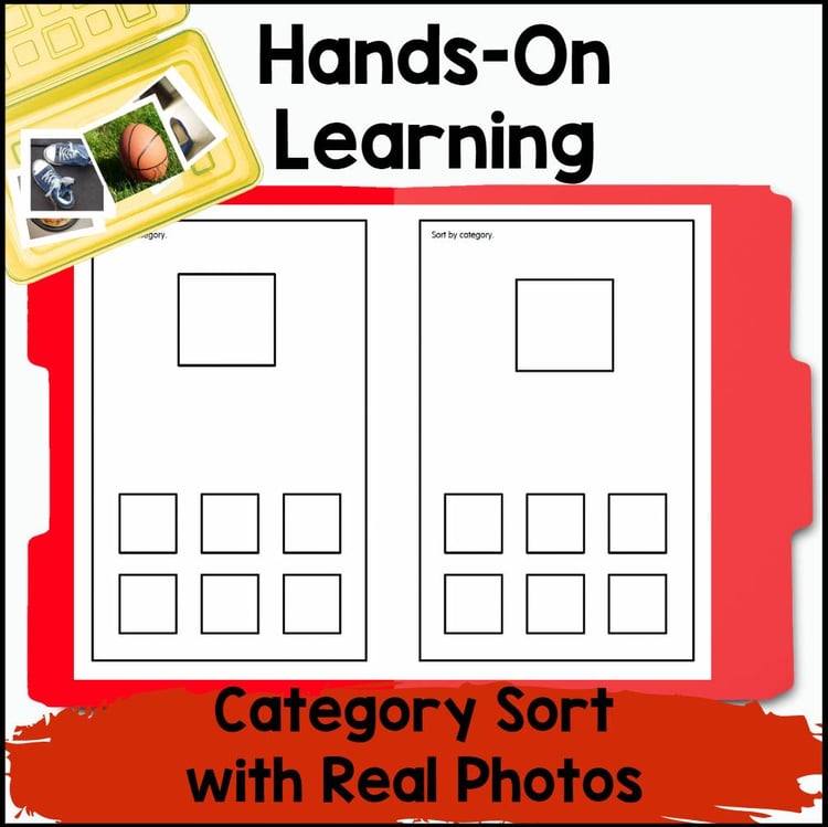 Sorting Pictures by Category (PreK, K, Autism & SPED)