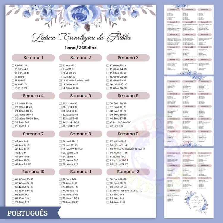 plano de leitura cronológica da bíblia em 1 ano