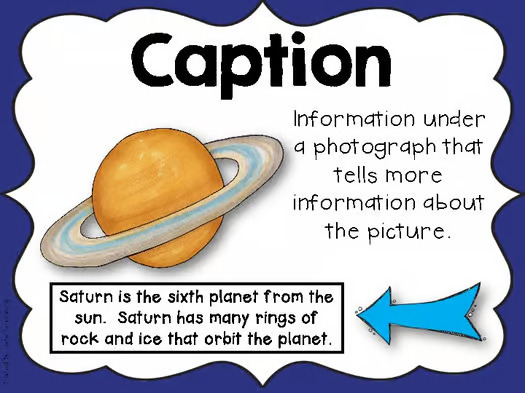 Non-Fiction Text Features Posters