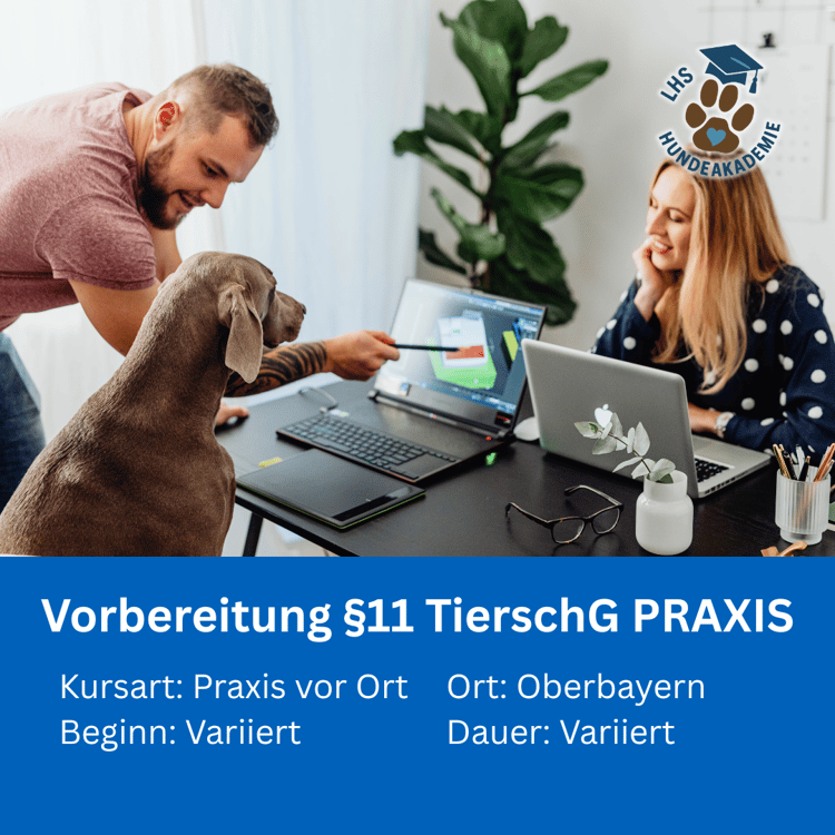 Praxisseminar Hundetrainer