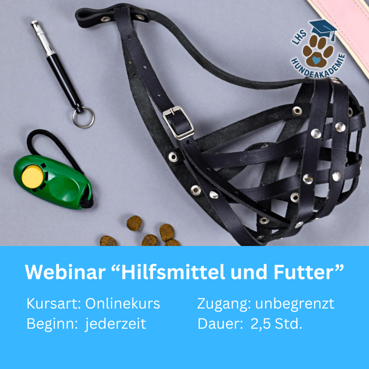 Hundetraining Zubehör