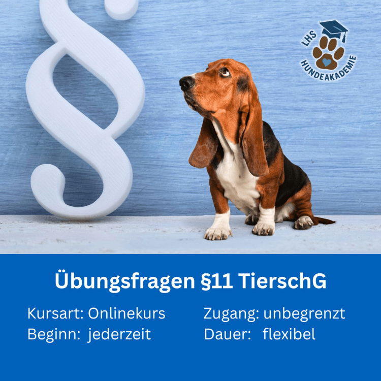 Vorbereitung Hundetrainer Prüfung