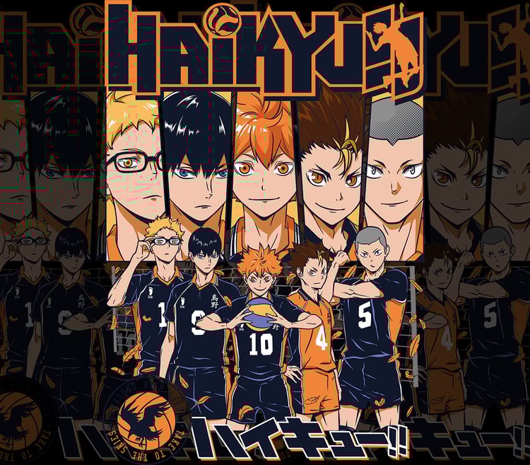 ANIME Haikyuu