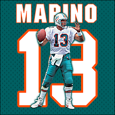 Dan Marino Cards Binder Inserts