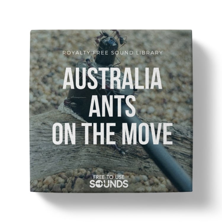 Ants Sound Effects