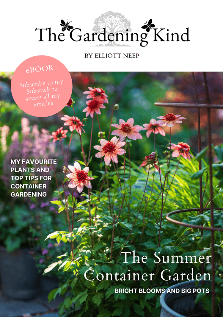 Summer Container Gardening eBook