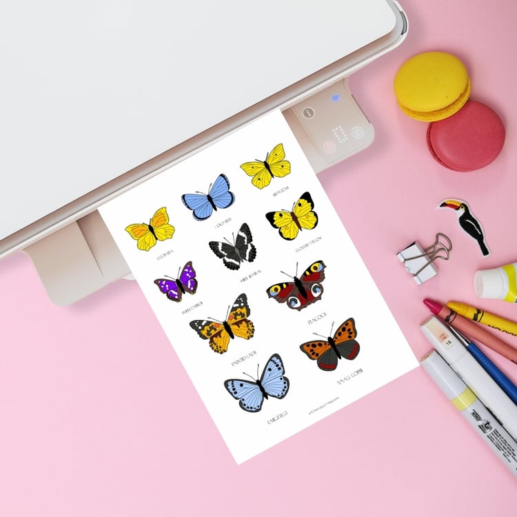 Printable realistic butterfly coloring pages