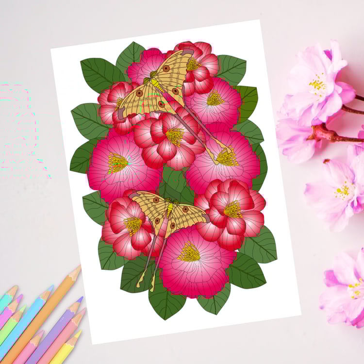 realistic moth and flower coloring page by herczeg timea