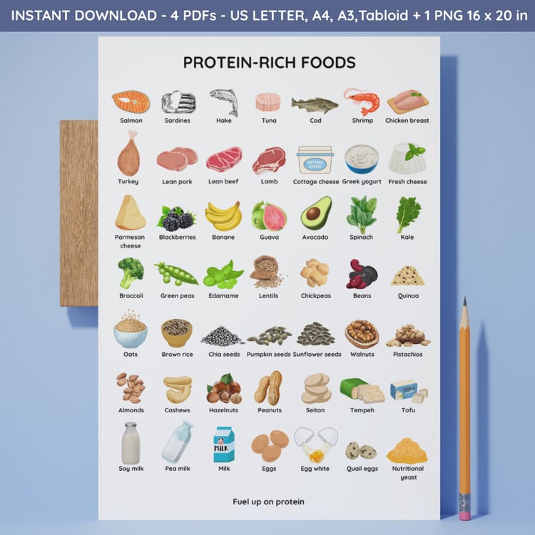 proein rich foods list printable