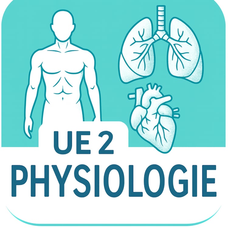 Fiches sur la ceinture scapulaire - Payhip