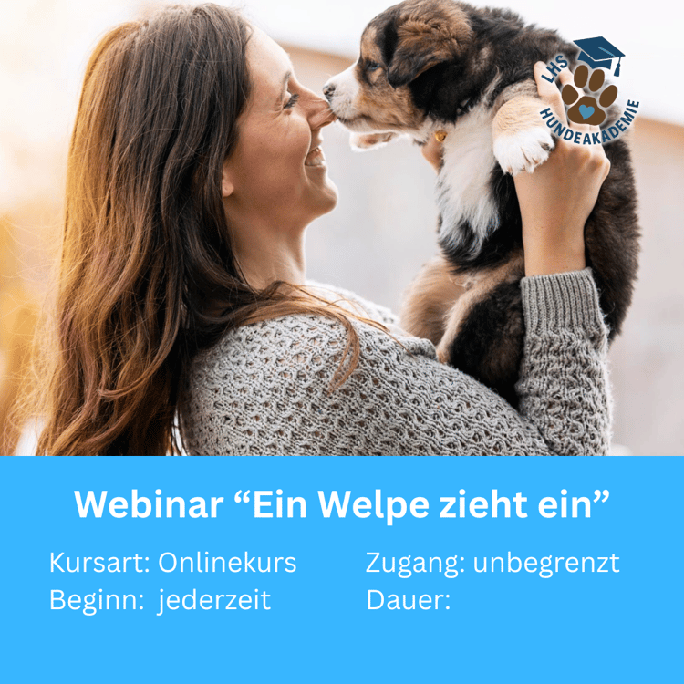 Welpenerziehung Video Seminar