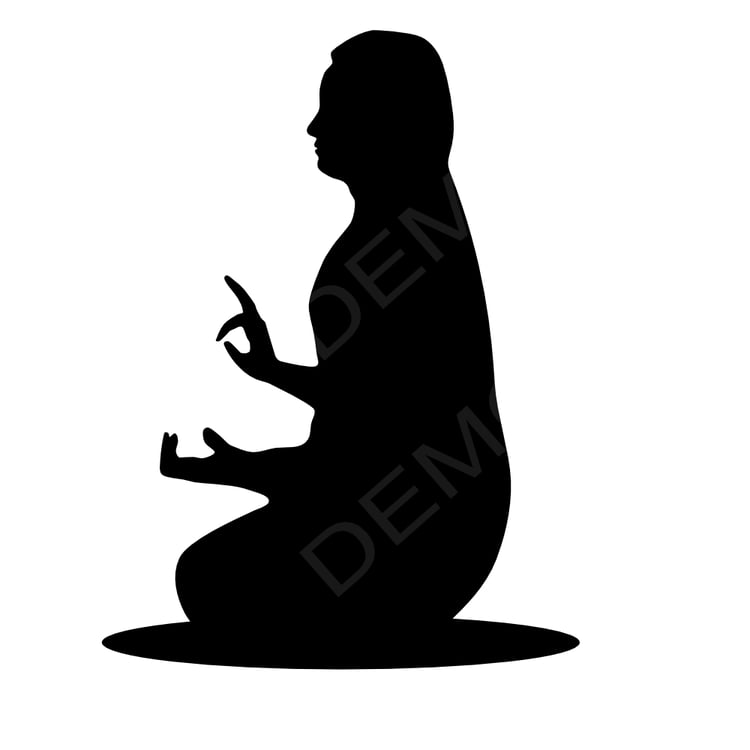 Adi Shankara portrait