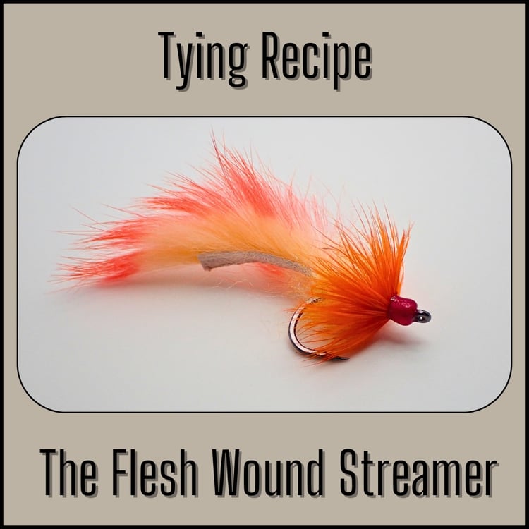 Tying recipe for the Flesh Wound streamer fly, an Alaska flesh pattern for fly fishing for trout and dolly varden.