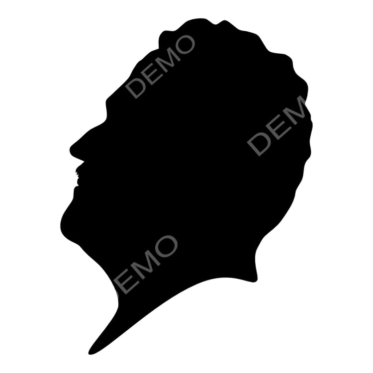 Nazim Hikmet portrait