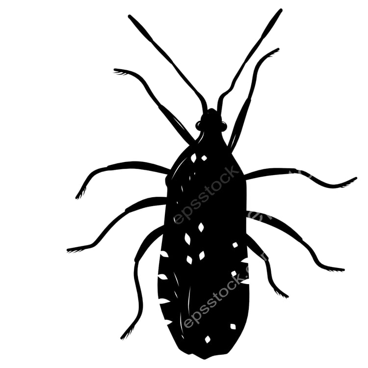 Squash bug symbol