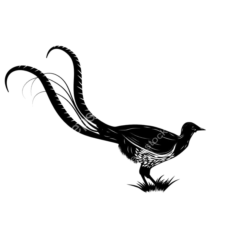 Lyrebird symbol