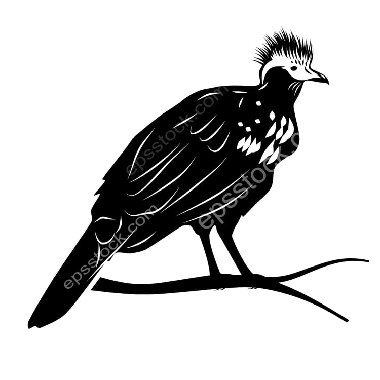 Trinidad Piping-Guan bird