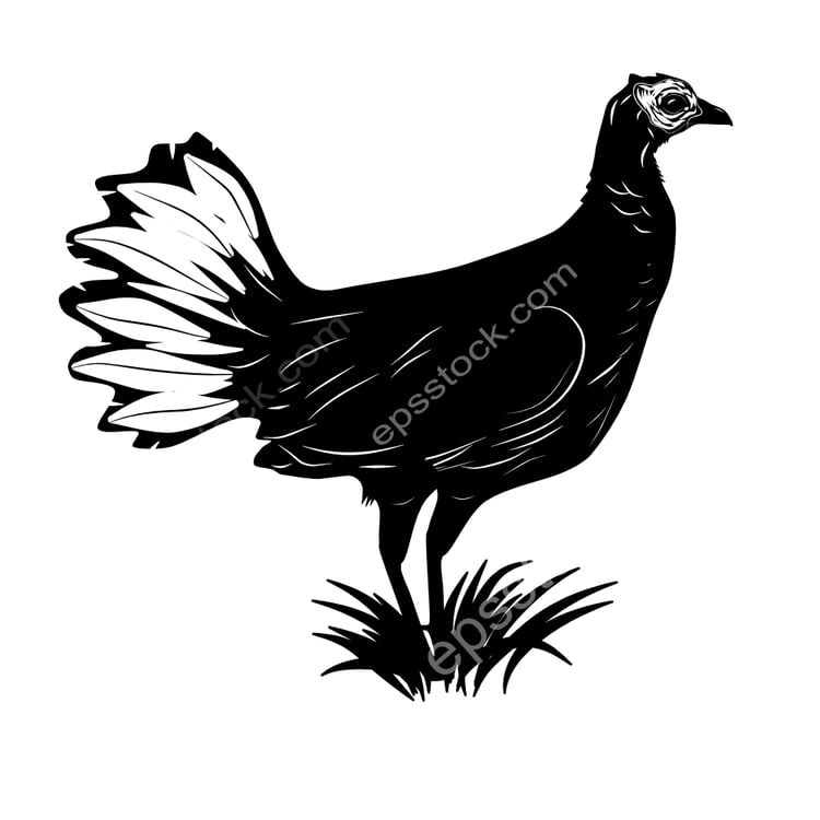 Bornean Crestless Fireback bird