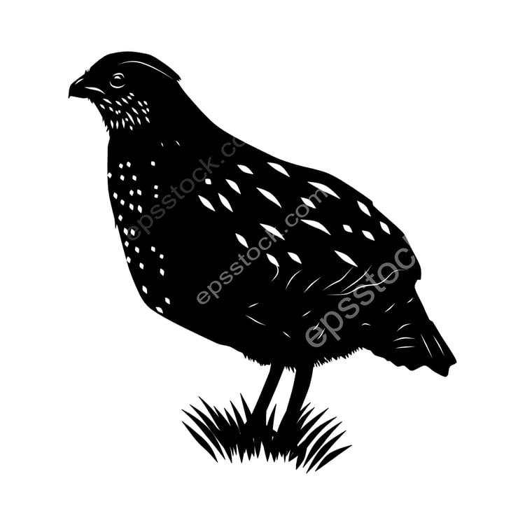 Spotted Wood-Quail bird