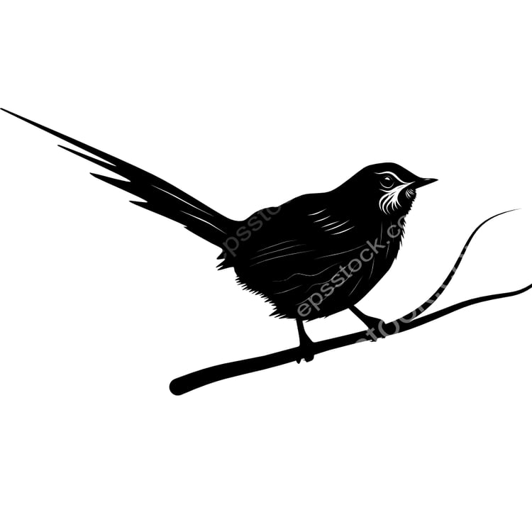 Chotoy Spinetail bird