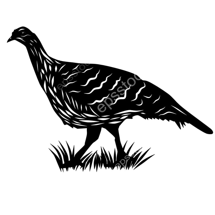 Malleefowl bird