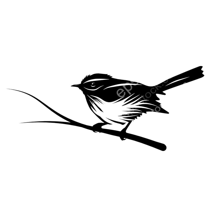 Fairy Flycatcher bird