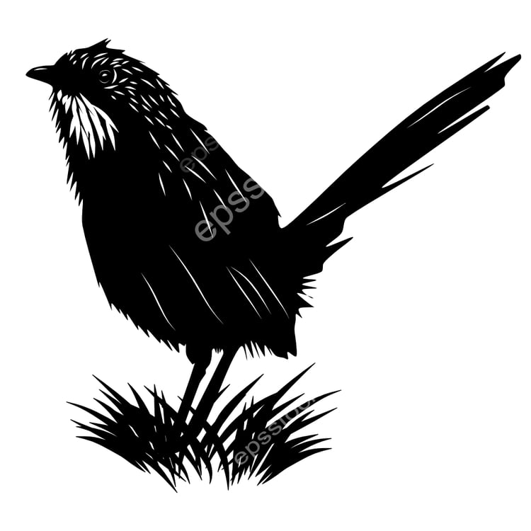 Pilbara Grasswren bird