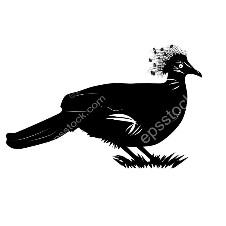 Victoria Crowned-Pigeon