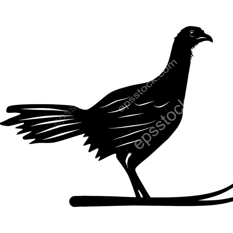 Chestnut-winged Chachalaca bird