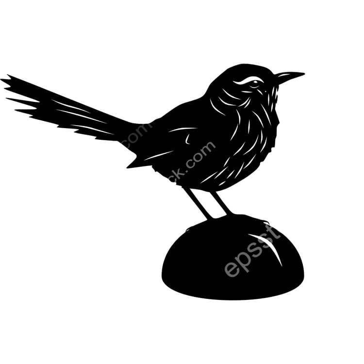 Canyon Canastero bird