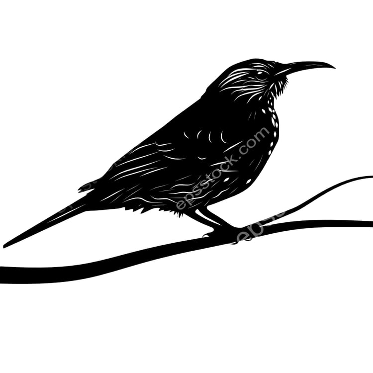 Scale-throated Earthcreeper bird