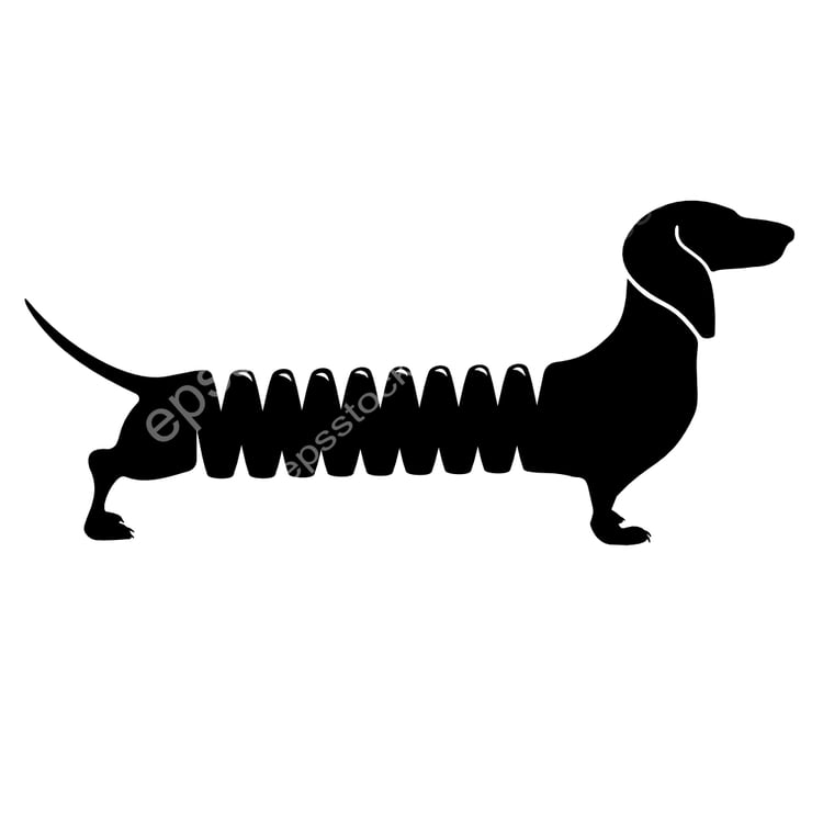 spiral dachshund