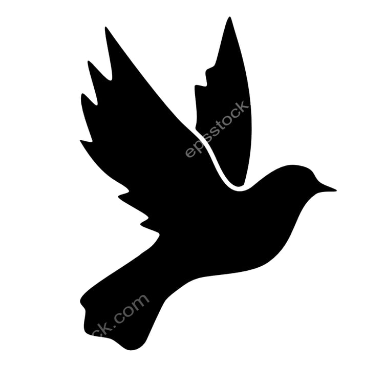 flying Pigeon