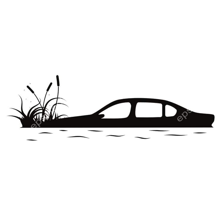 car in Swamp