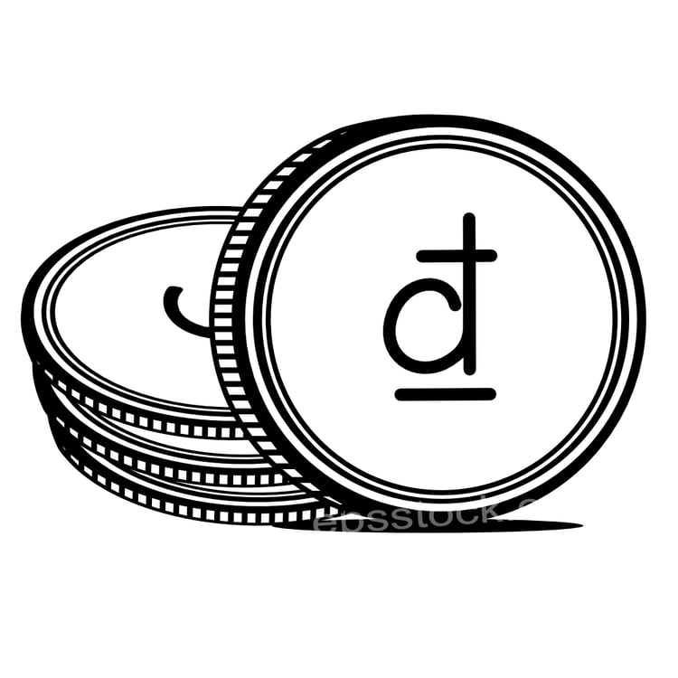 Vietnam currency symbol