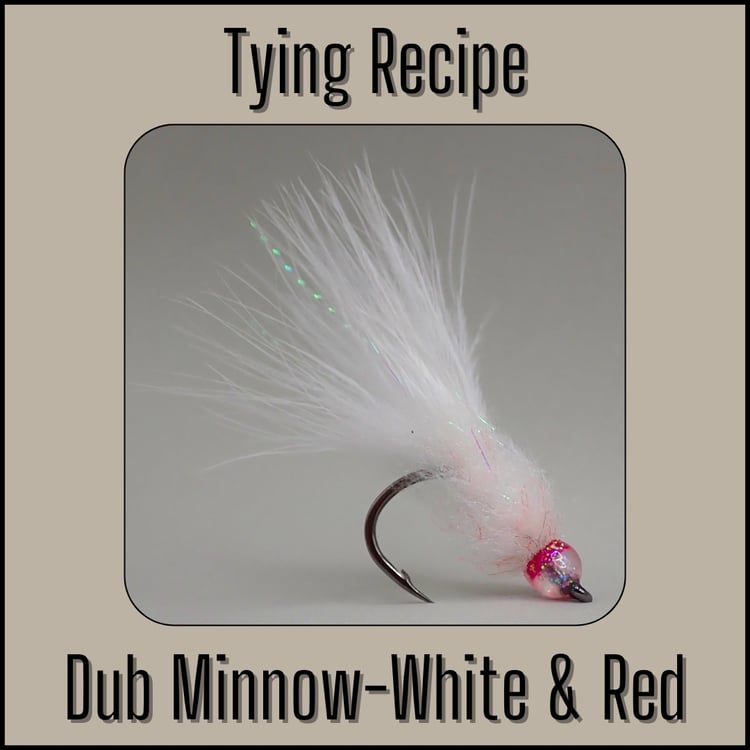 White & red Dub Minnow streamer fly tying recipe by Matt Campbell, The Fly Guy.