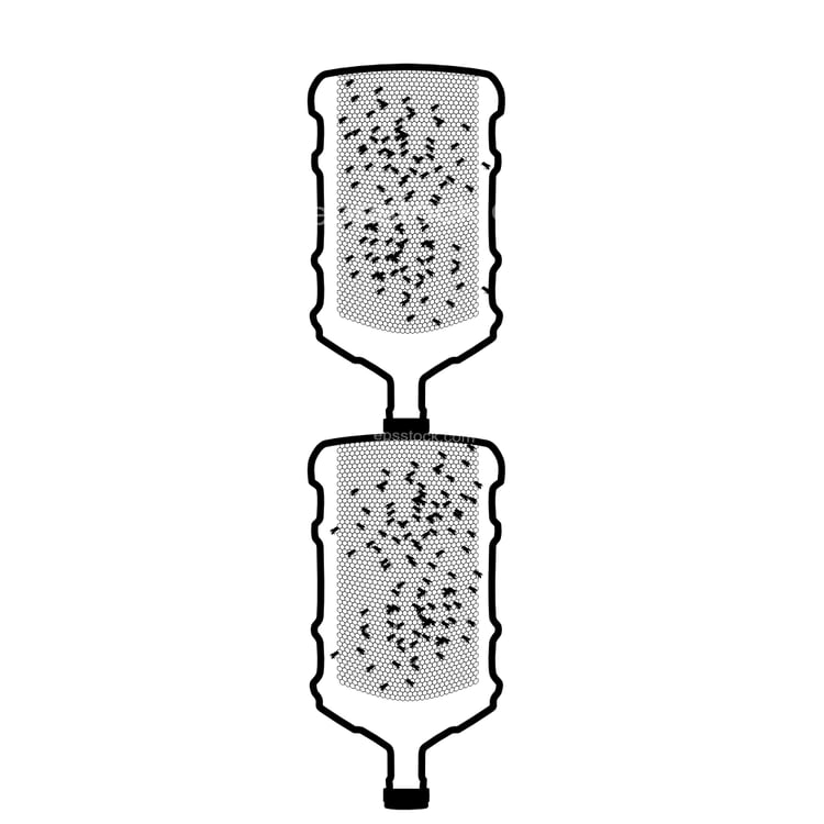 plastic bottle bee hive