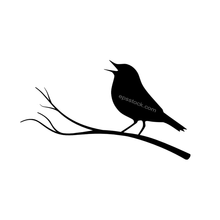Bird On Branch