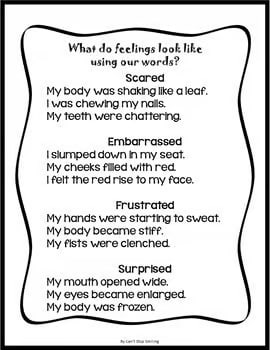 Small Moments Writing - Focusing on Feelings