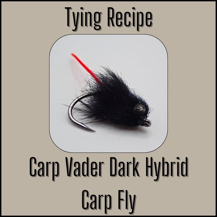 Tying recipe for the Carp Vader Dark Hybrid fly, designed and tied by Matt Campbell, The Fly Guy.
