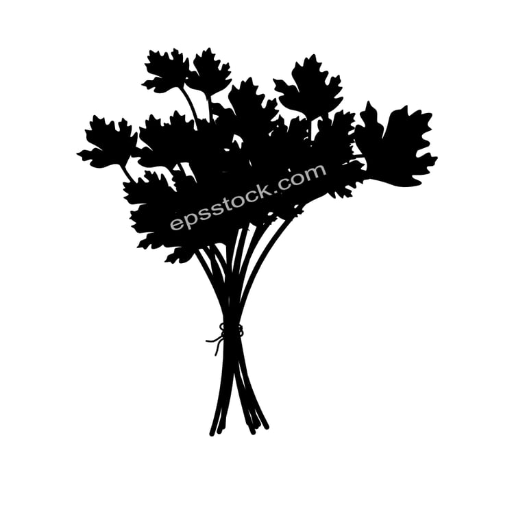 Coriander symbol