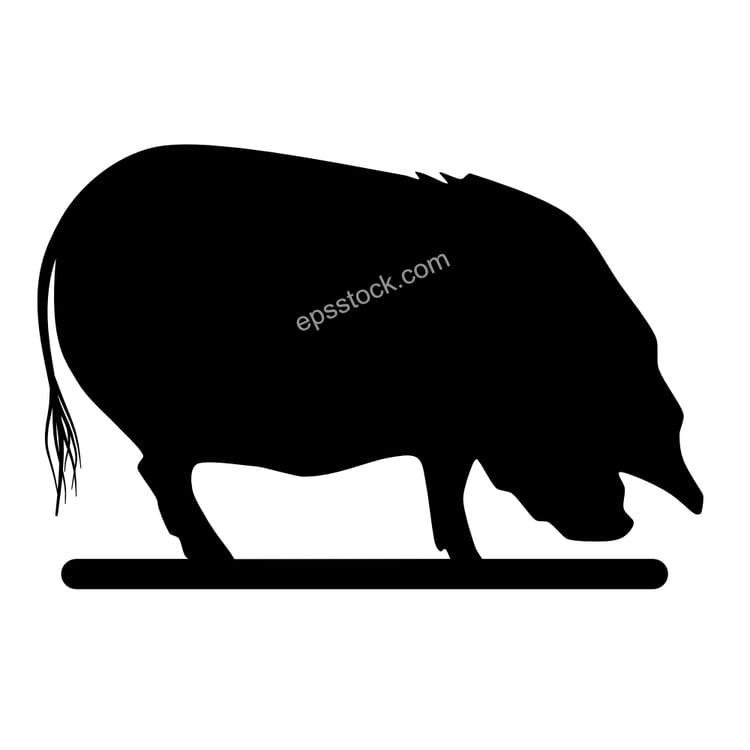 Kunekune pig