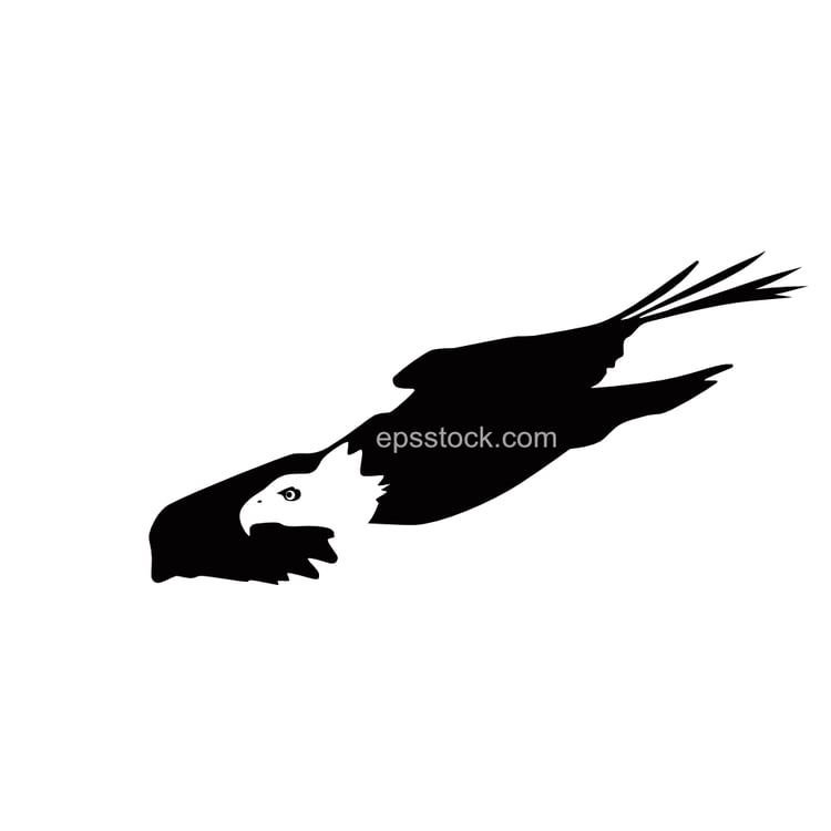 Eagle flying at full speed