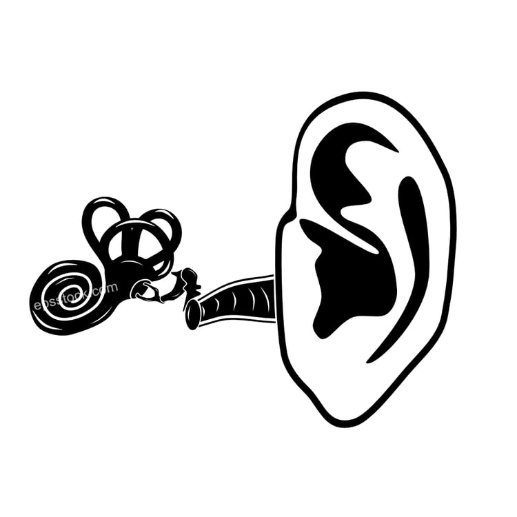 Human ear anatomy symbol