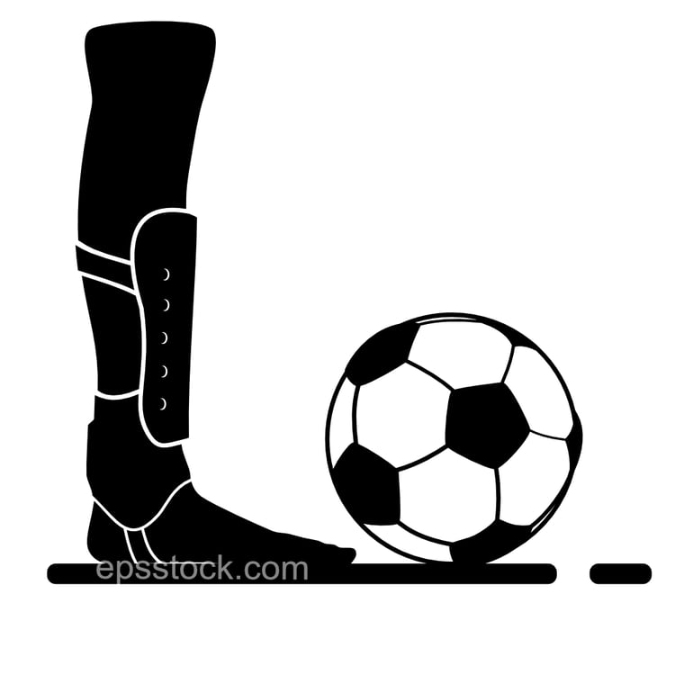 Sock Shin Guard