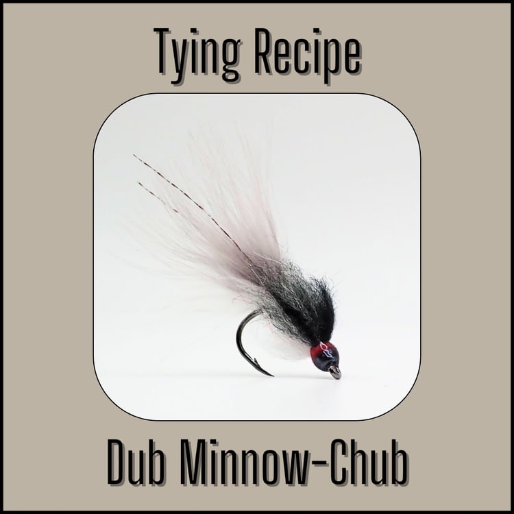 Dub Minnow in Chub fly tying recipe, designed and tied by The Fly Guy, Matt Campbell.