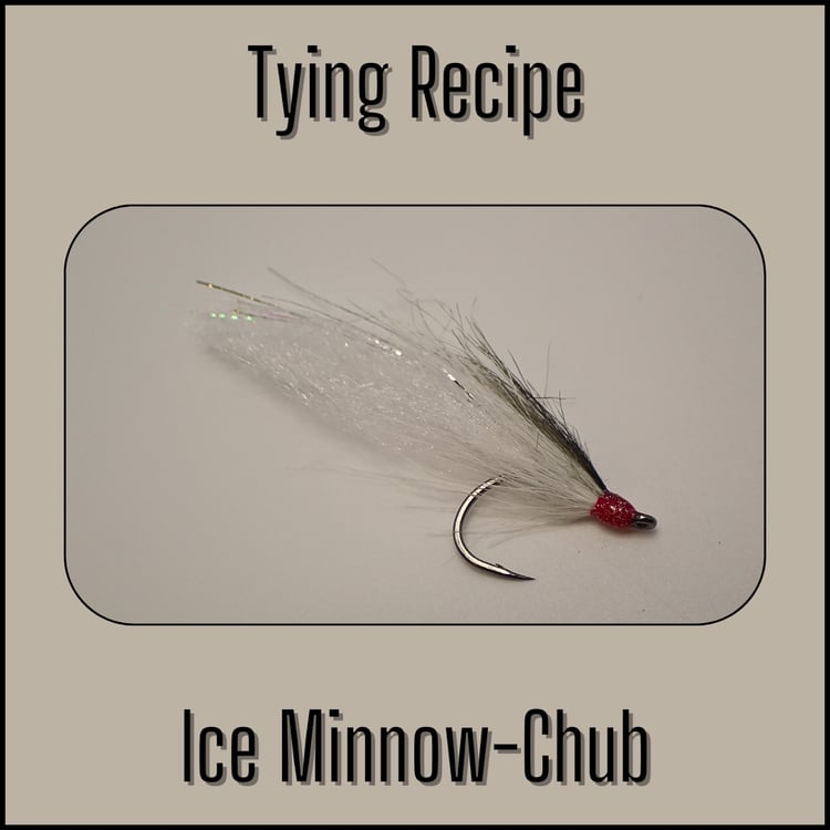 Ice Minnow streamer fly tying recipe in chub colors for trout and bass fly fishing.