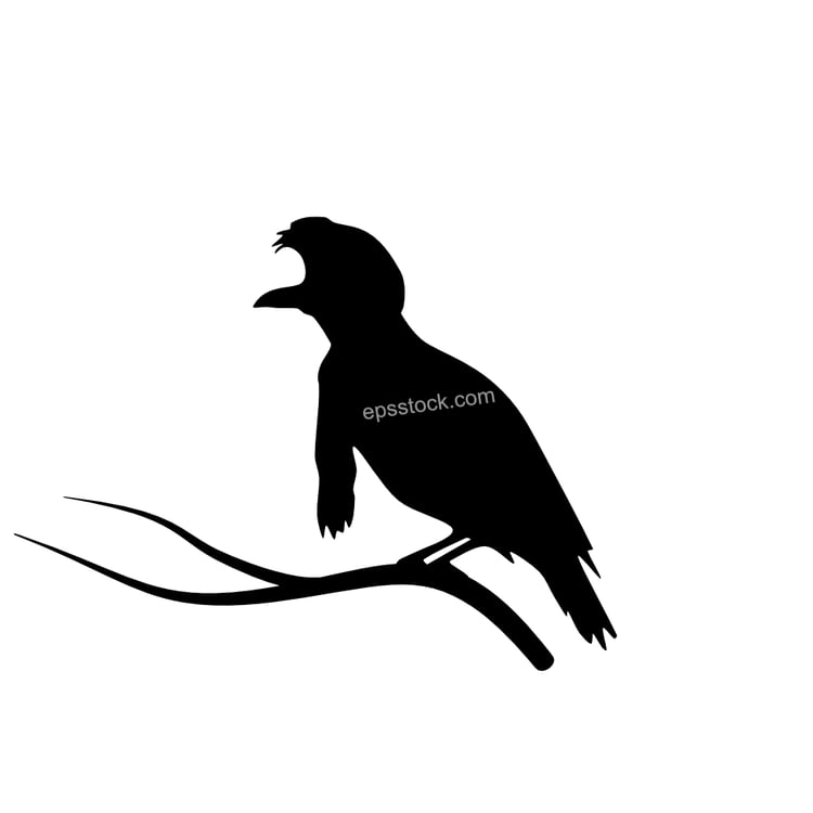 Long-wattled Umbrellabird