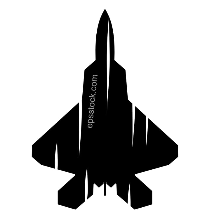 stealth fighter aircraft